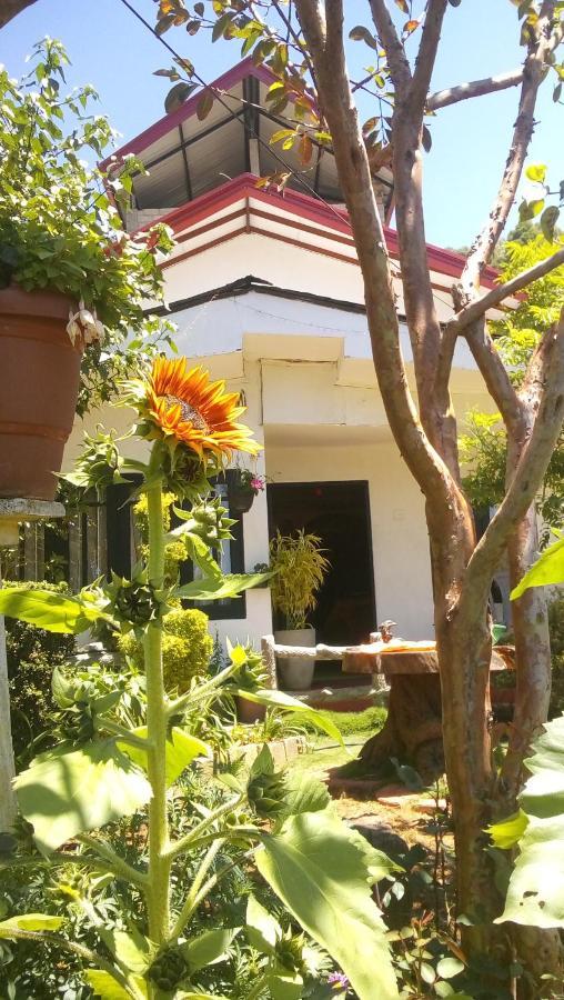 Redwood Homestay Nuwara Eliya Exterior foto