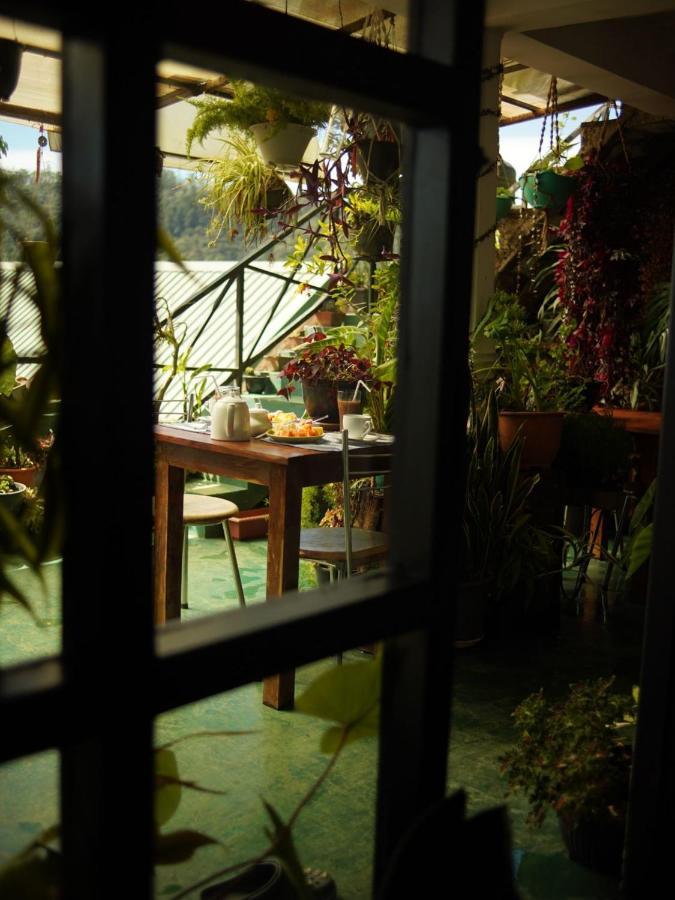 Redwood Homestay Nuwara Eliya Exterior foto