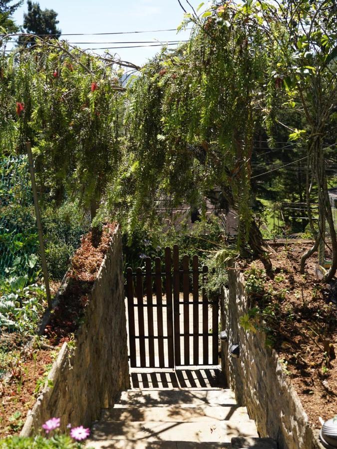 Redwood Homestay Nuwara Eliya Exterior foto