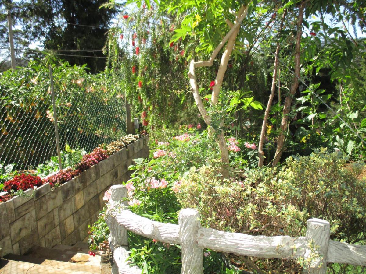 Redwood Homestay Nuwara Eliya Exterior foto