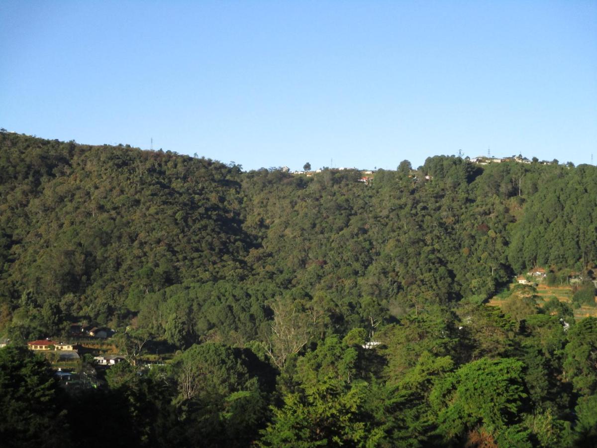 Redwood Homestay Nuwara Eliya Exterior foto