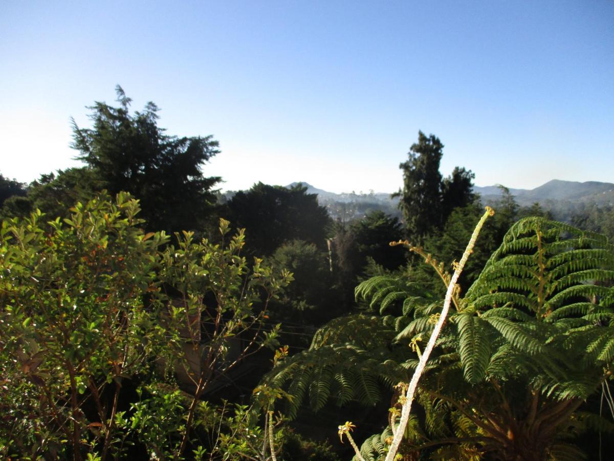 Redwood Homestay Nuwara Eliya Exterior foto
