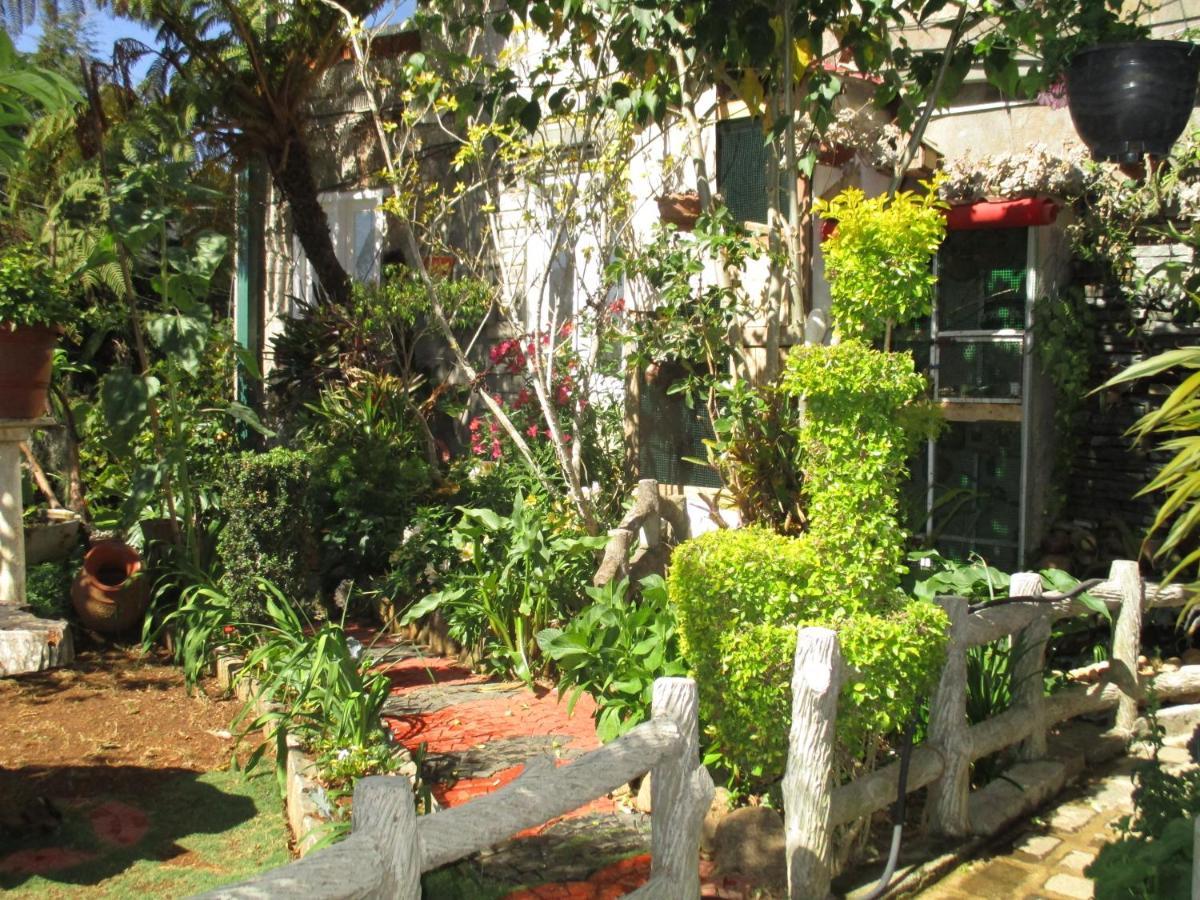 Redwood Homestay Nuwara Eliya Exterior foto