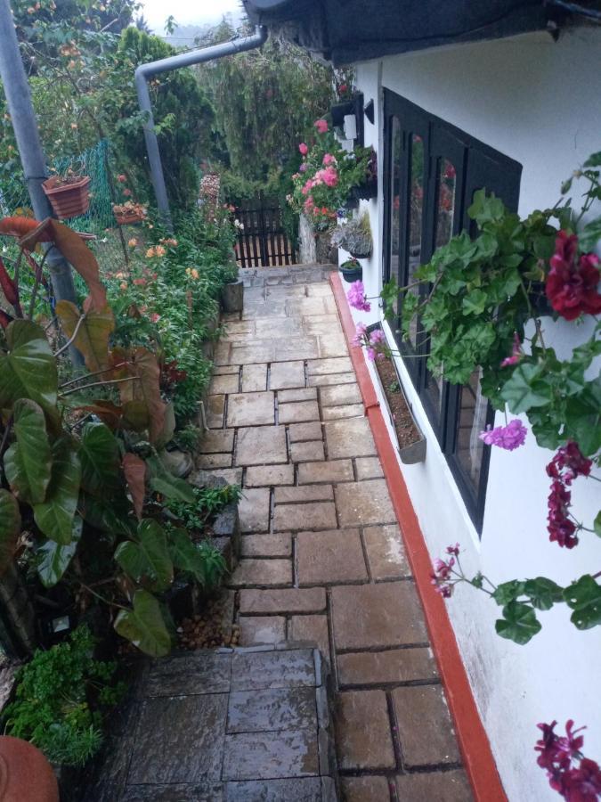 Redwood Homestay Nuwara Eliya Exterior foto